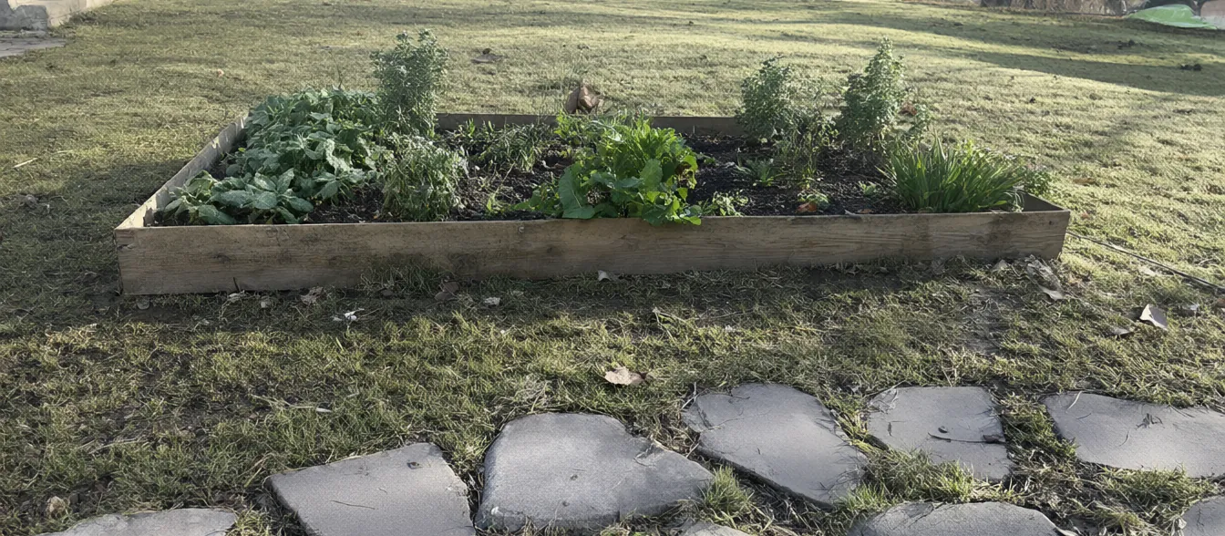 A backyard with a new raised bed of herbs beside a stone path.