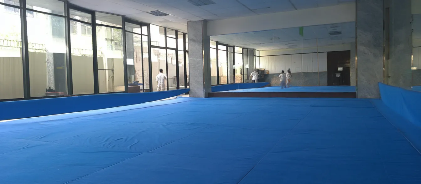 Students in white uniforms line up on a blue training mat.