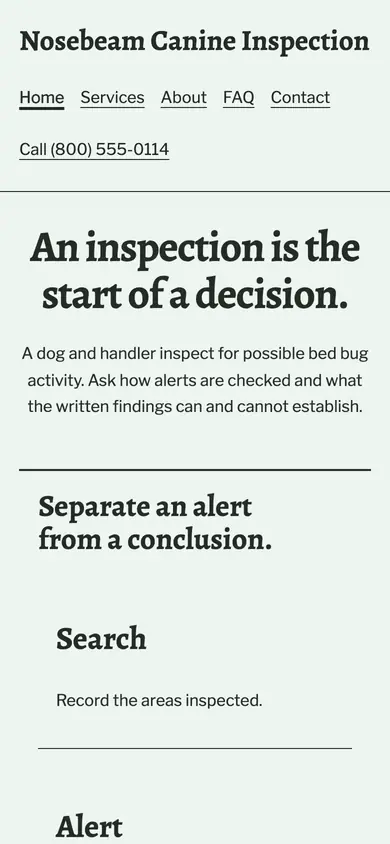 Look 3, Inspection evidence: sample home page on a phone