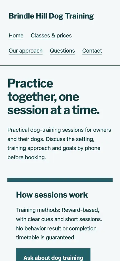 Look 3, Start with a phone conversation: sample home page on a phone