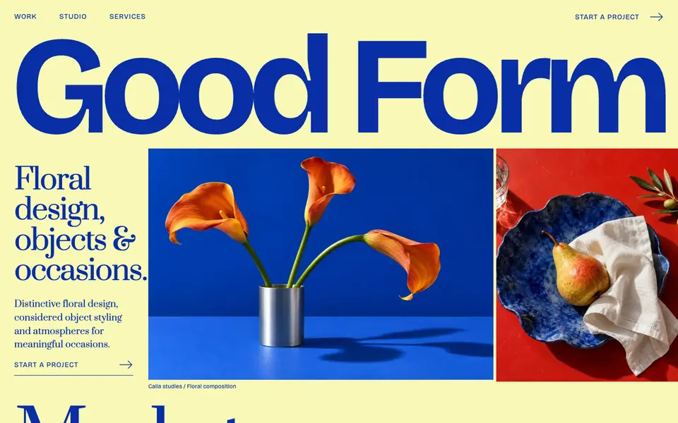 Look 1, Good Form: sample home page on a computer