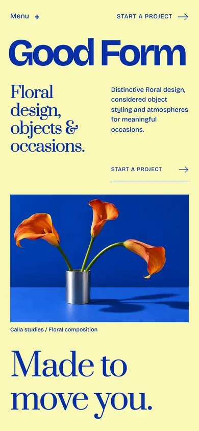 Look 1, Good Form: sample home page on a phone