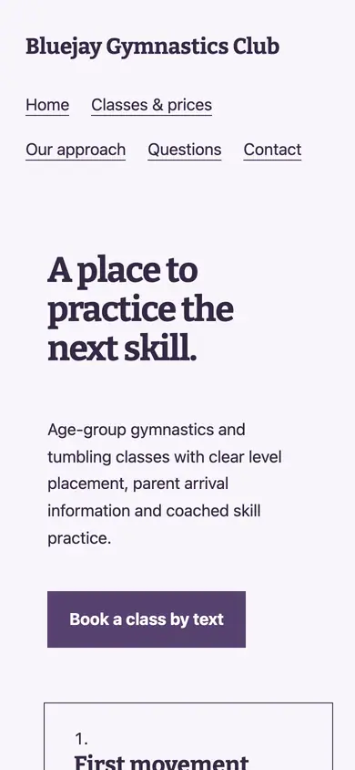 Look 2, Skill placement ladder: sample home page on a phone