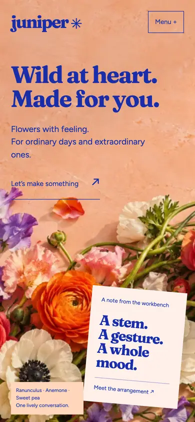 Look 1, Juniper: sample home page on a phone