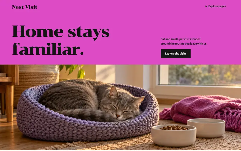Look 1, Nest Visit: sample home page on a computer