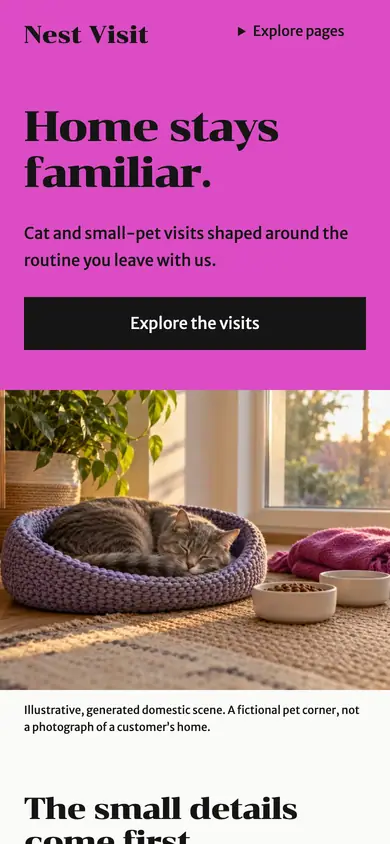 Look 1, Nest Visit: sample home page on a phone