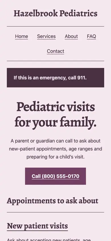 Look 2, Neighborhood appointment pocket: sample home page on a phone