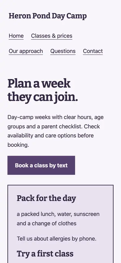 Look 2, Camp bag checklist: sample home page on a phone