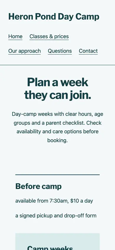 Look 3, A day at camp: sample home page on a phone