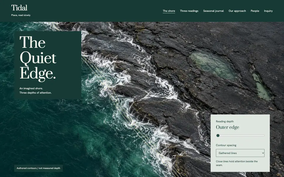 Look 1, Tidal: sample home page on a computer